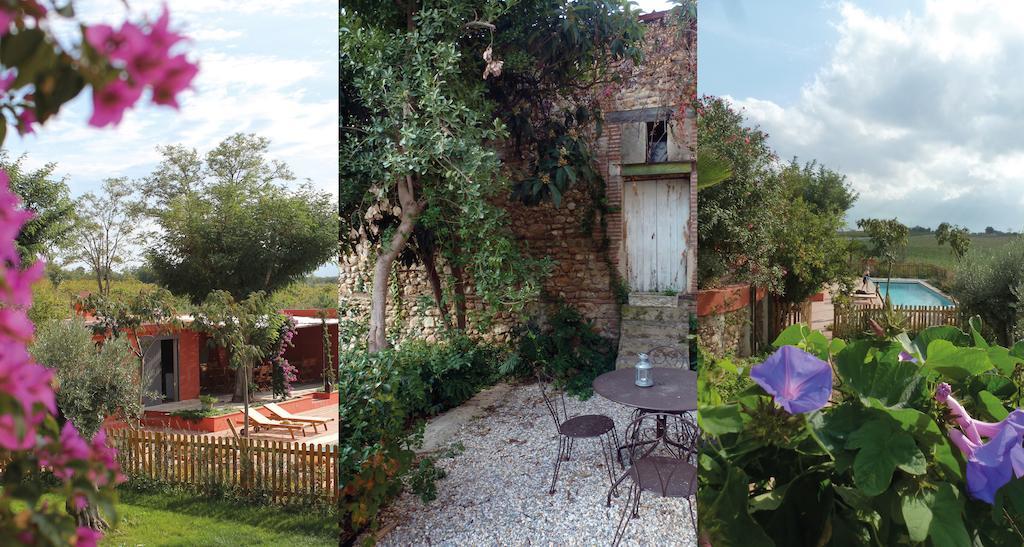 Clos Des Aspres Ortaffa Quarto foto