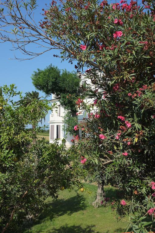 Clos Des Aspres Ortaffa Exterior foto